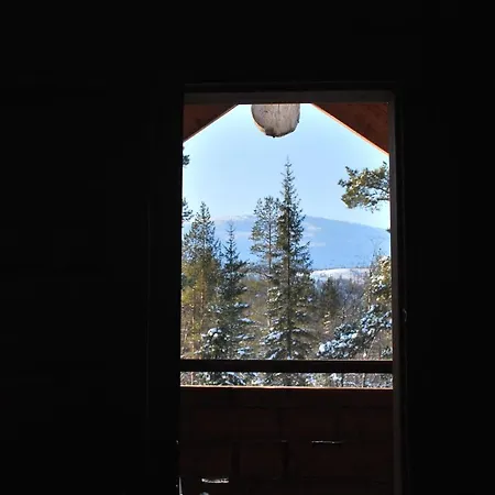 Northern Lights Opposite The Mountains Lodge