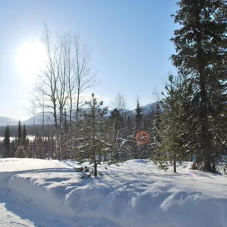 Northern Lights Opposite The Mountains * Ylikyro