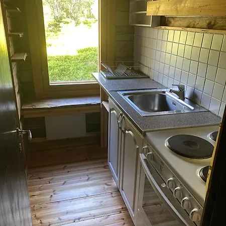 Northern Lights Opposite The Mountains بيت خشبي